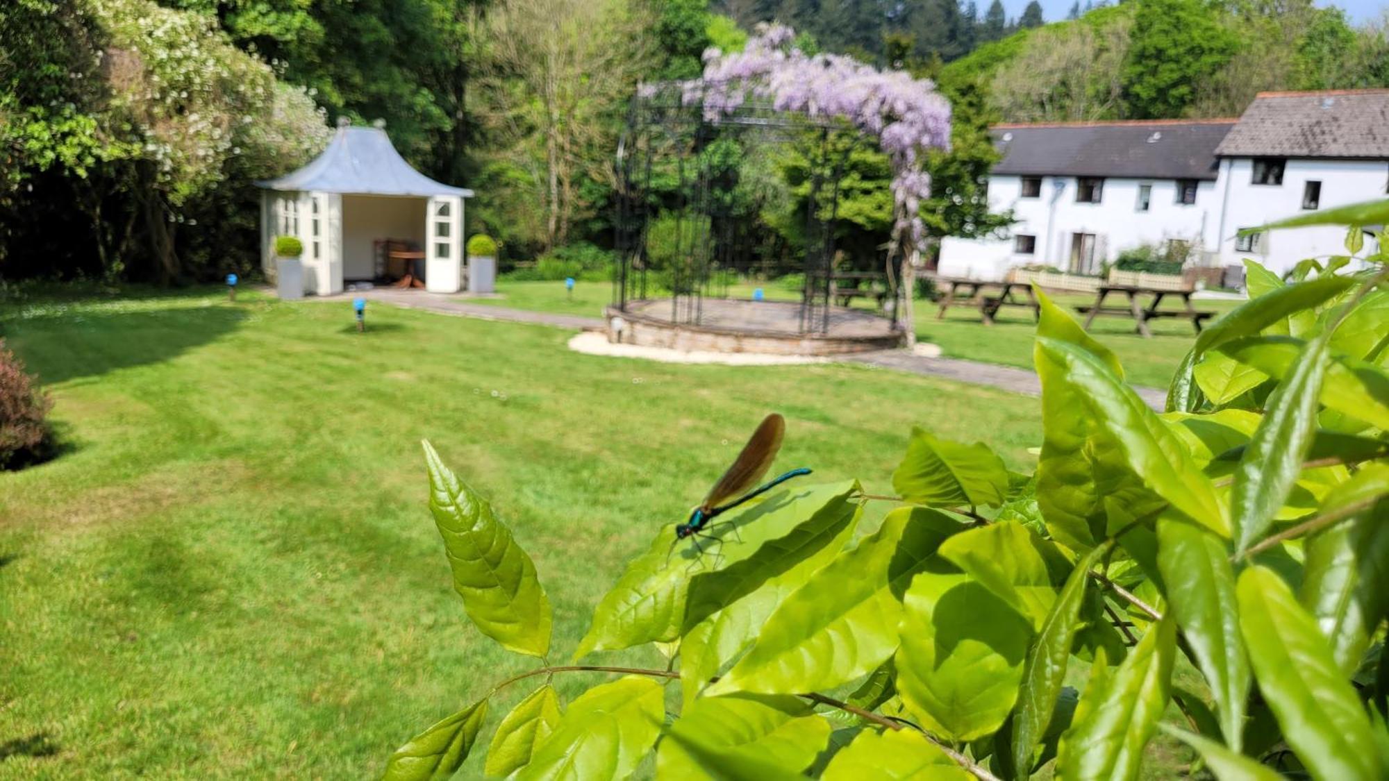 Fox & Hounds Country Hotel Chulmleigh Exterior photo